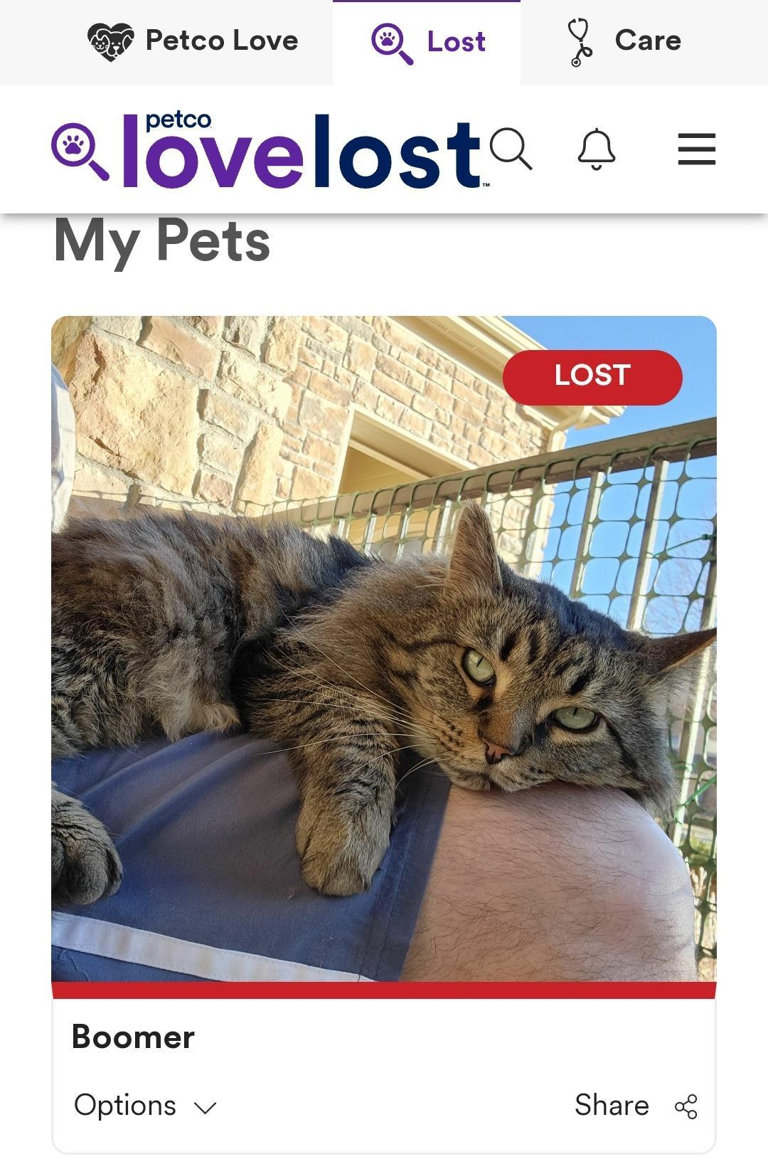 Petcolove Lost Q Care eJovelosta My Pets R Boomer Options v Share