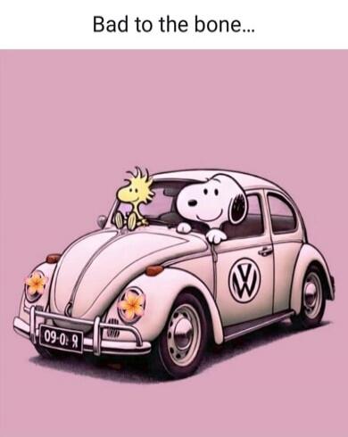 Bad to the bone... Snoopy and Woodstock driving a Volkswagen Beetle.