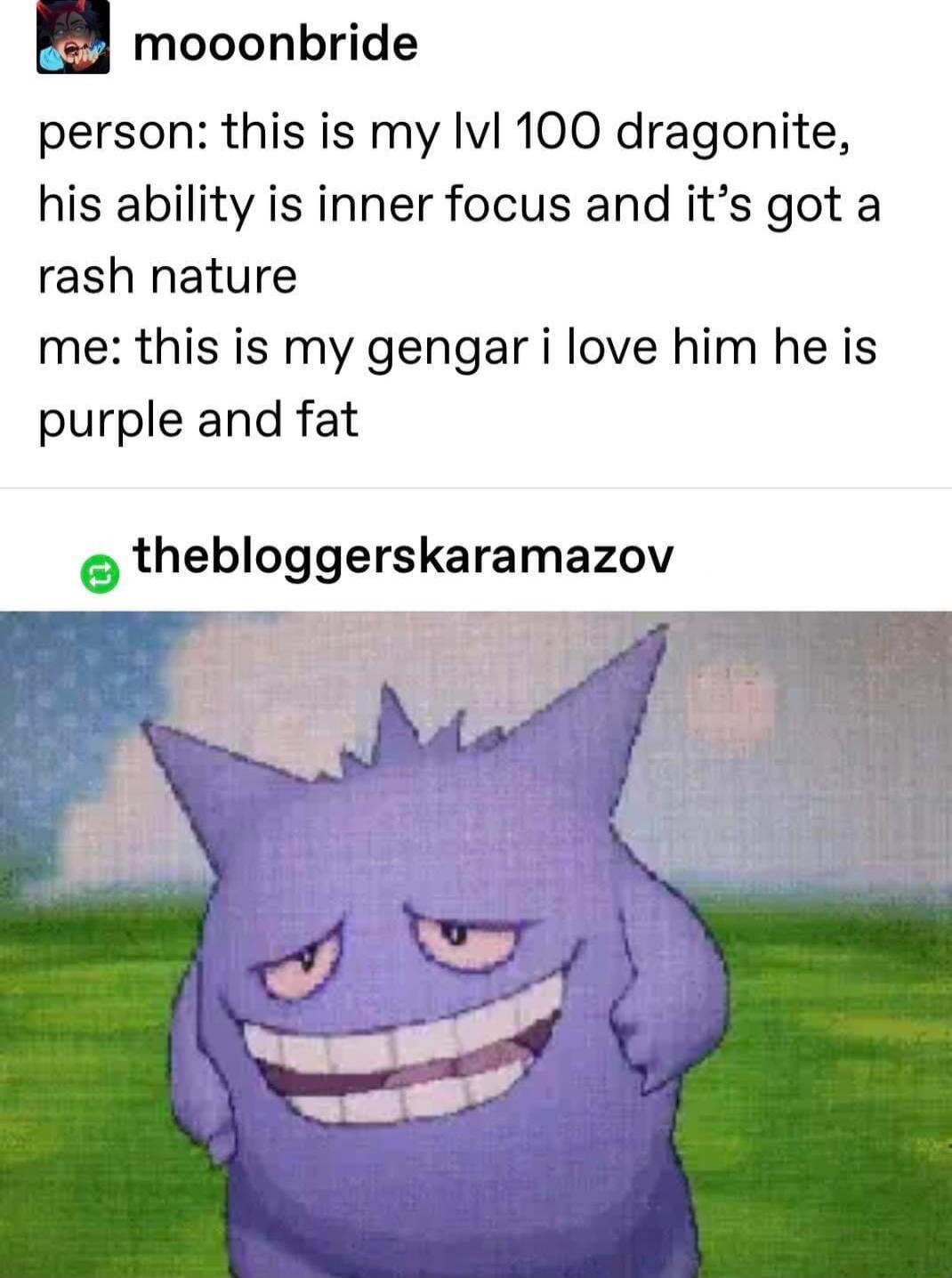 mooonbride person this is my Ivl 100 dragonite his ability is inner focus and its got a rash nature me this is my gengar i love him he is purple and fat thebloggerskaramazov