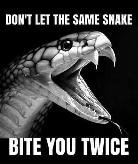 DON'T LET THE SAME SNAKE BITE YOU TWICE