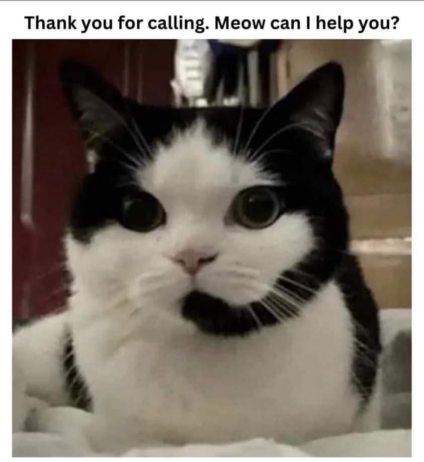 Thank you for calling Meow can help you
