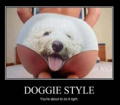DOGGIE STYLE You're about to do it right.