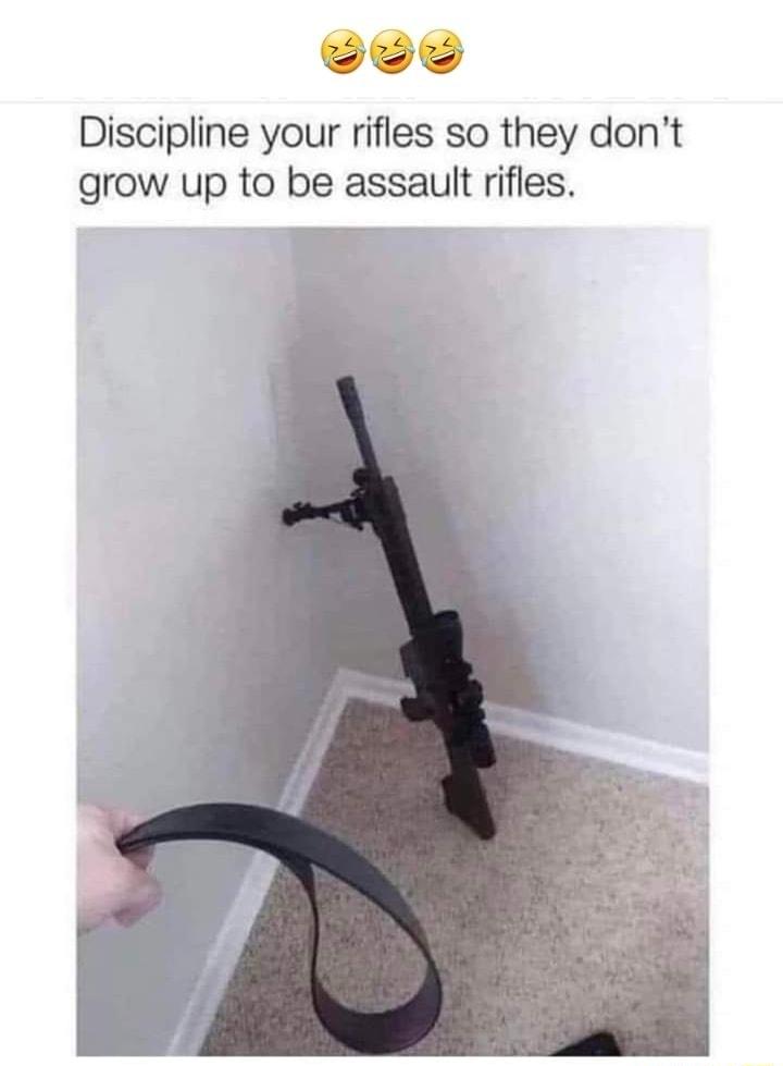 Discipline your rifles so they dont grow up to be assault rifles