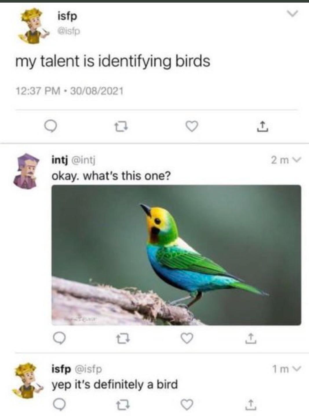 istp a my talent is identifying birds o j okay whats this one istp yep its definitely a bird