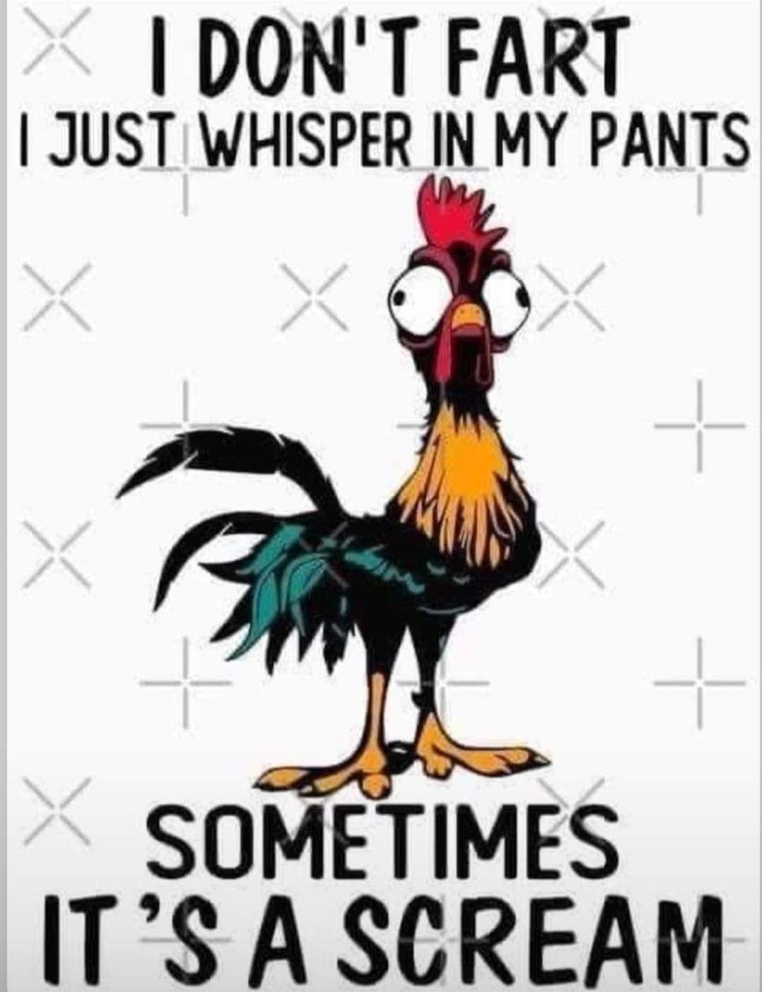 DONT FART JUST WHISPER IN MY PANTS SOMETIMES ITS A SCREAM