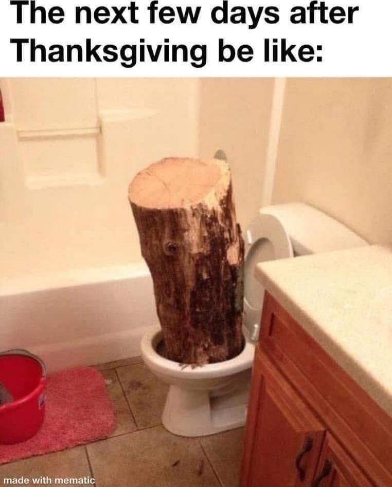 The next few days after Thanksgiving be like: