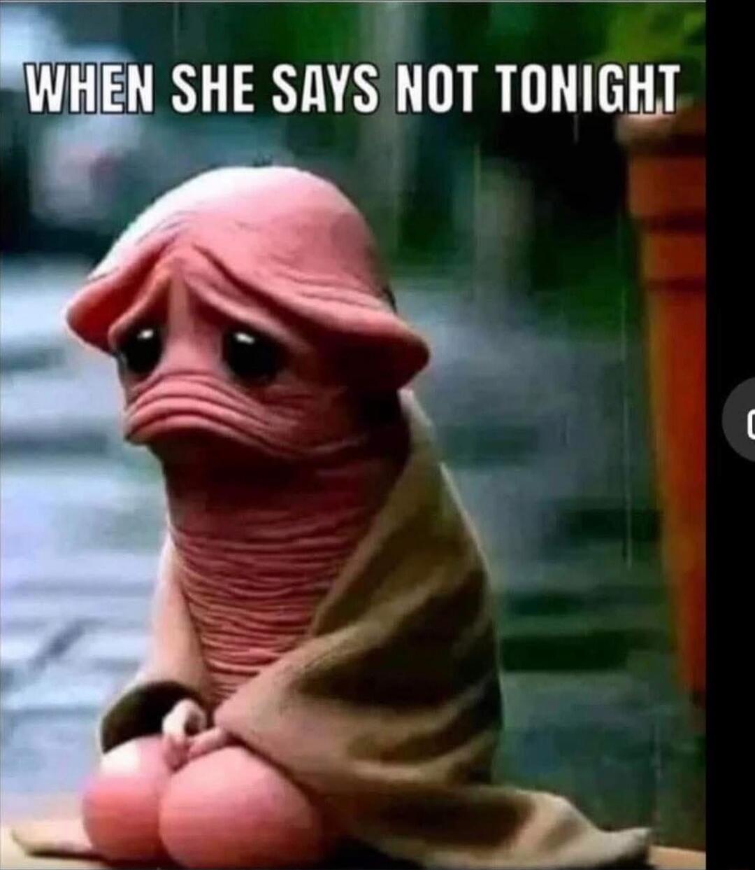 WHEN SHE SAYS NOT TONIGHT