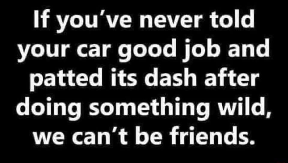 VRTCITRVR VT R L VLI T TeTe BT JET T patted its dash after doing something wild we cant be friends