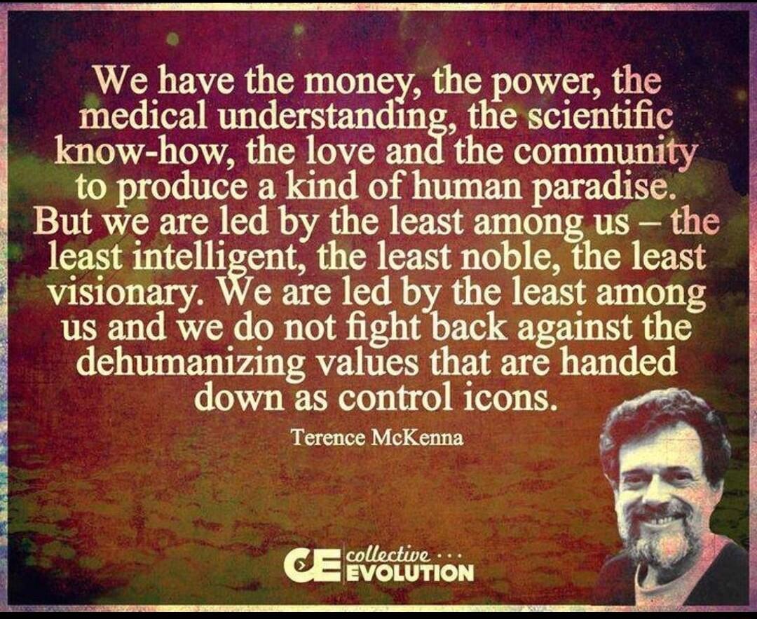 We have the money the power the medical understanding the scientific know how the love and the community to roduce a kind of human paradise But we are led by the least among us the least lmellent the least noble the least visionary We are led bhe least among usandwedonot it kagamstthe dehumanizing values that are handed down as control icons Terence McKenna