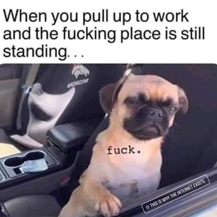 When you pull up to work and the fucking place is still standing