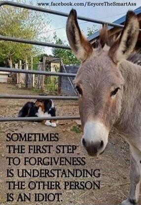 SOMETIMES THE FIRST STEP TO FORGIVENESS IS UNDERSTANDING THE OTHER PERSON IS AN IDIOT. www.facebook.com/EeyoreTheSmartAss