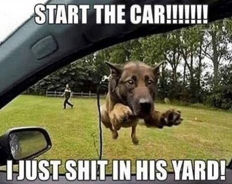 START THE CAR!!!!!!!! I JUST SHIT IN HIS YARD!