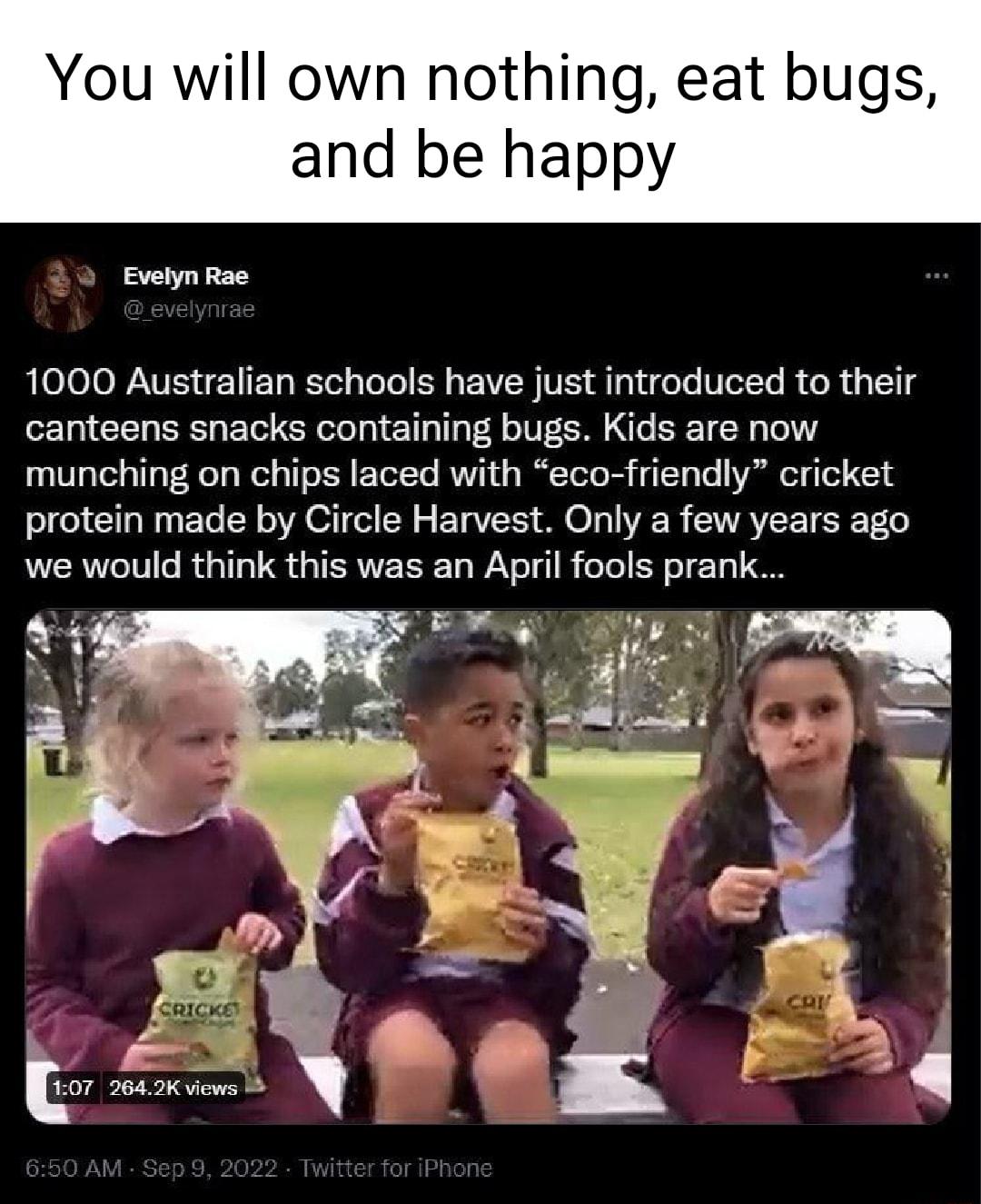 You will own nothing eat bugs and be happy Evelyn Rae 1000 Australian schools have just introduced to their canteens snacks containing bugs Kids are now munching on chips laced with eco friendly cricket protein made by Circle Harvest Only a few years ago we would think this was an April fools prank 07 2642K vews 1