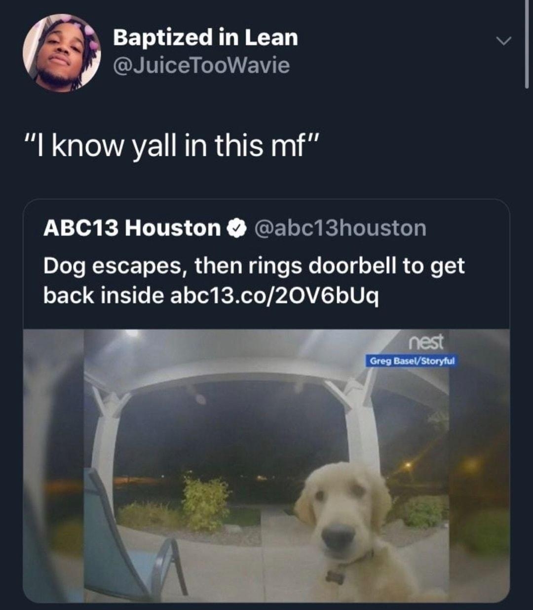 Baptized in Lean v JuiceTooWavie R LGEAEN R R I ABC13 Houston abc13houston Dog escapes then rings doorbell to get back inside abc13co20V6bUq 92718 1032 PM