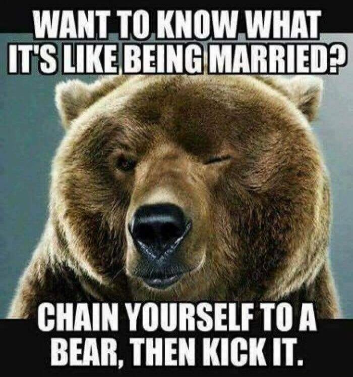 WANT TO KNOW WHAT IT'S LIKE BEING MARRIED? CHAIN YOURSELF TO A BEAR, THEN KICK IT.