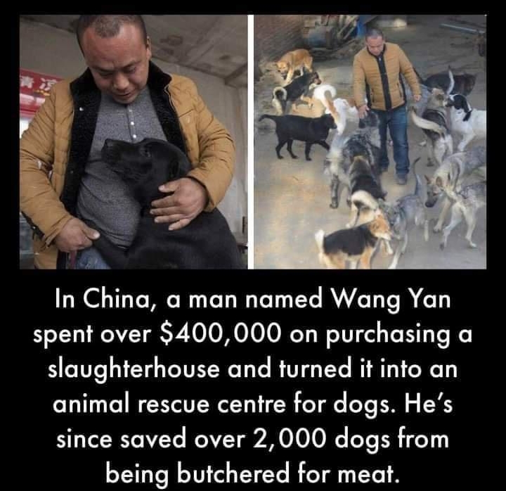 In China man named Wang Yan spent over 400000 on purchasing a slaughterhouse and turned it into an animal rescue centre for dogs Hes since saved over 2000 dogs from being butchered for meat