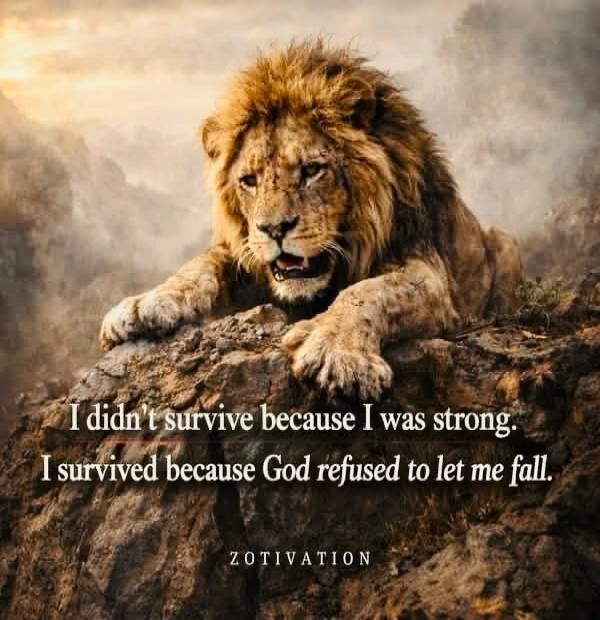 I didn't survive because I was strong. I survived because God refused to let me fall. ZOTIVATION