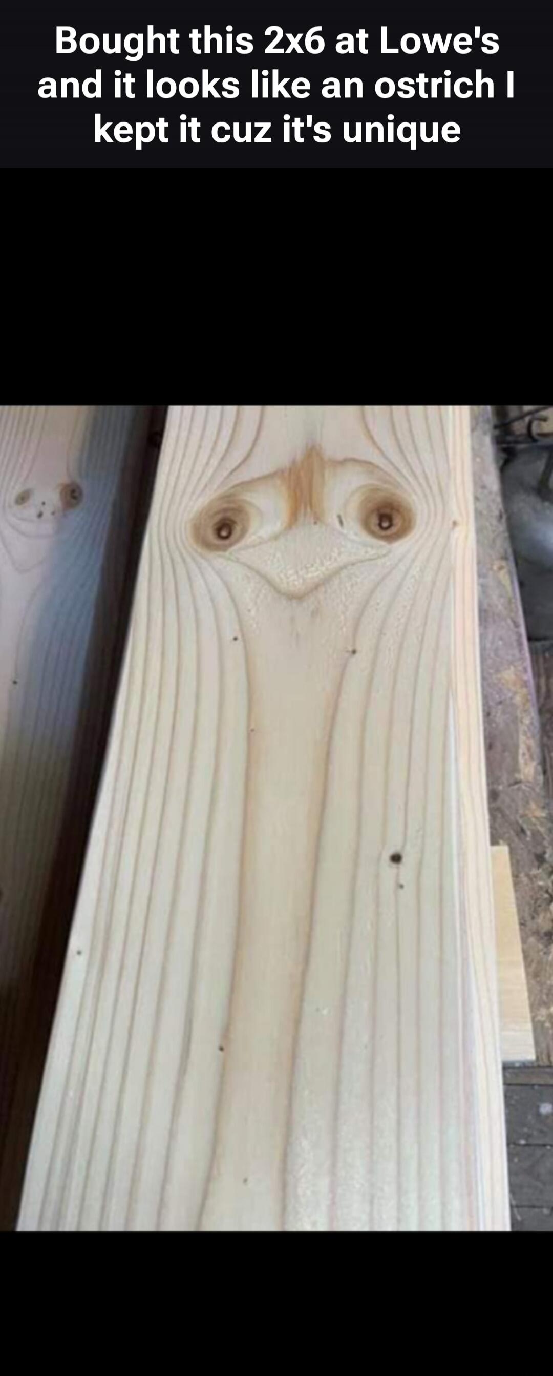 Bought this 2x6 at Lowe's and it looks like an ostrich I kept it cuz it's unique