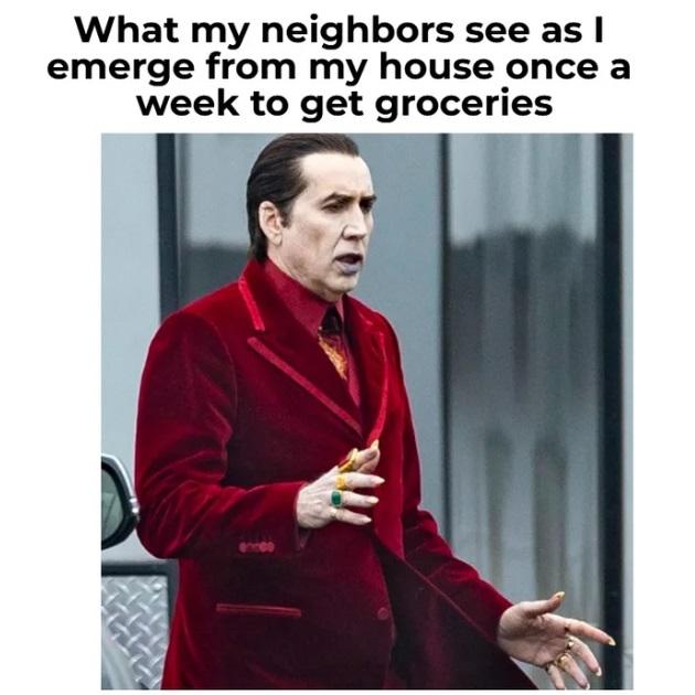 What my neighbors see as emerge from my house once a week to get groceries