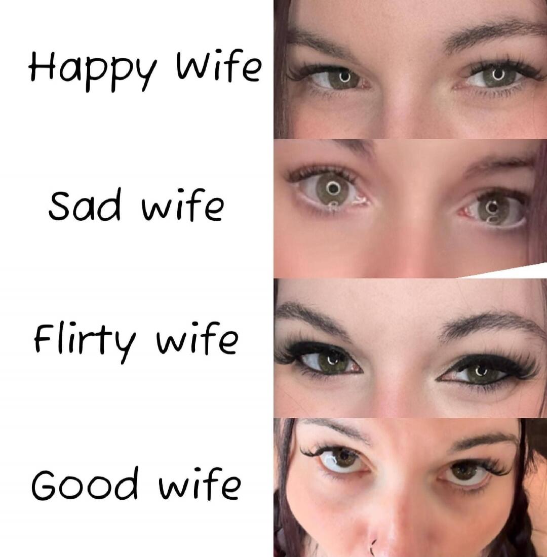Happy Wife Sad wife Flirty wife Good wife