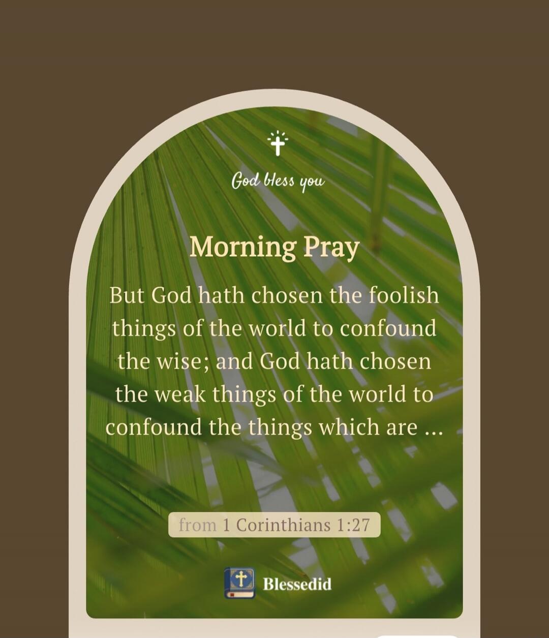 God bless you
Morning Pray
But God hath chosen the foolish things of the world to confound the wise; and God hath chosen the weak things of the world to confound the things which are ...
from 1 Corinthians 1:27
Blessedid