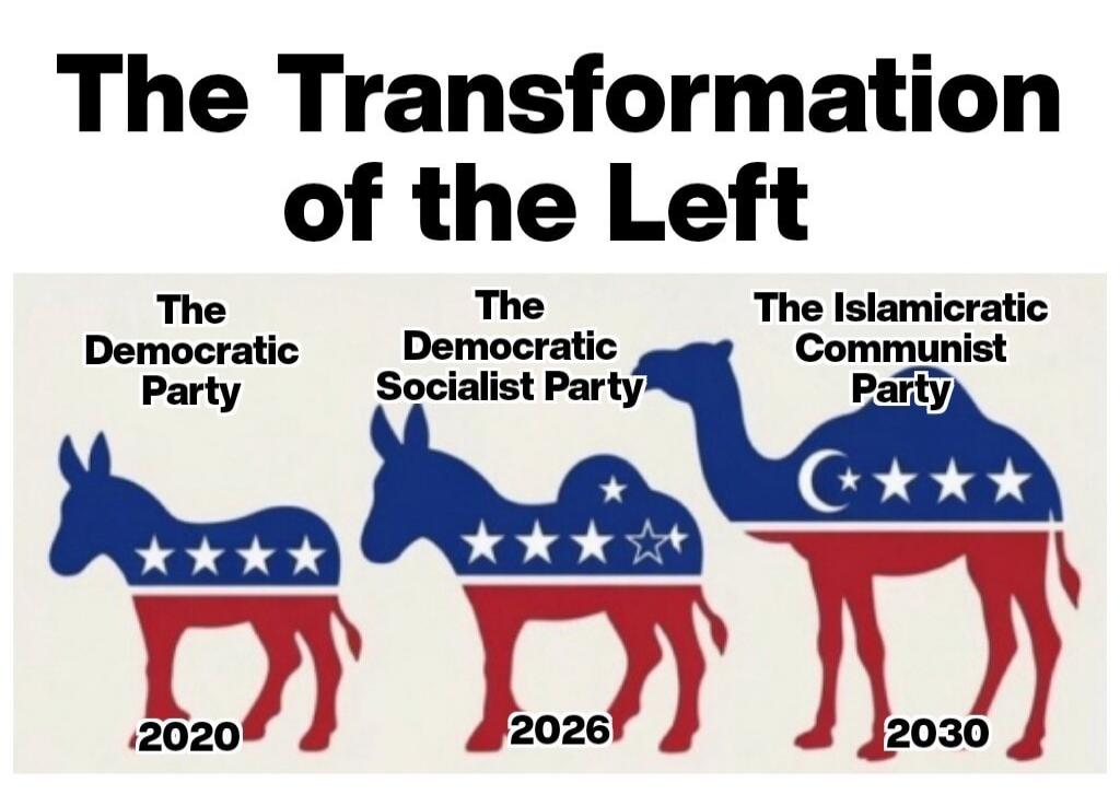 The Transformation of the Left The Democratic Party 2020 The Democratic Socialist Party 2026 The Islamicratic Communist Party 2030