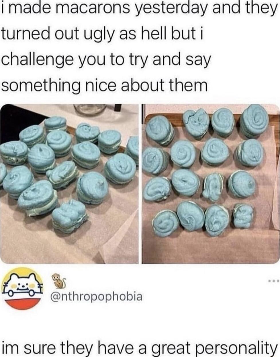 I made macarons yesterday and they turned out ugly as hell but i challenge you to try and say something nice about them v nthropophobia im sure they have a great personality