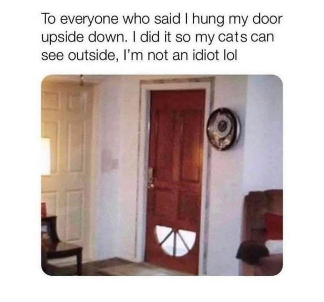 To everyone who said hung my door upside down did it so my cats can see outside Im not an idiot lol