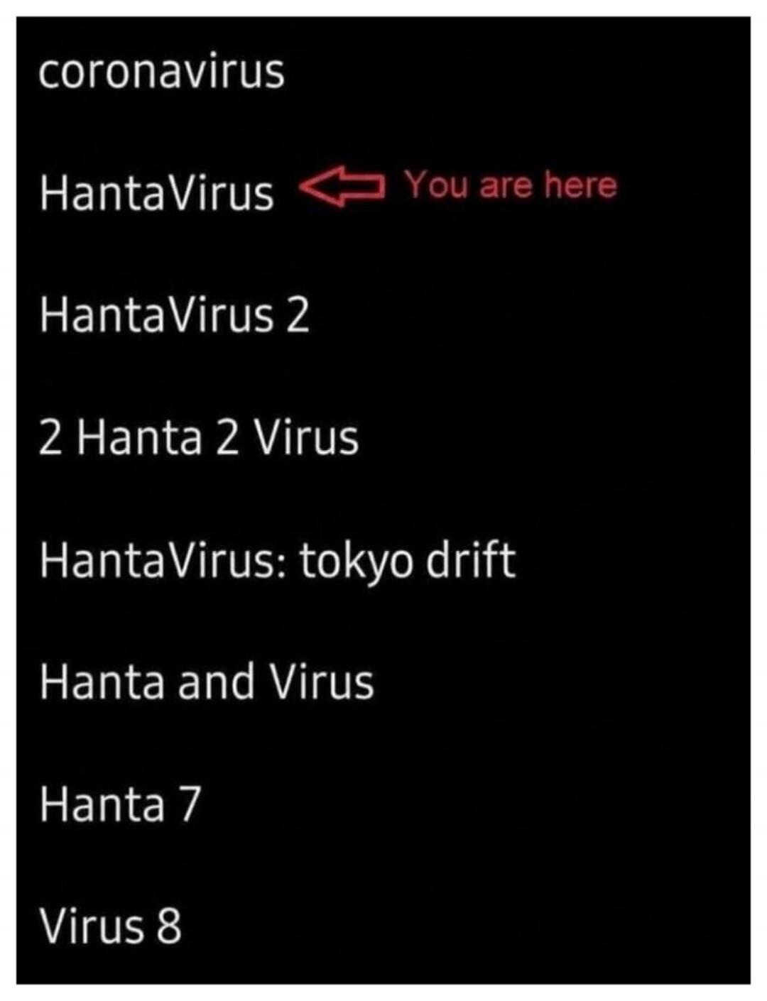 coronavirus HantaVirus You are here HantaVirus 2 2 Hanta 2 Virus HantaVirus: tokyo drift Hanta and Virus Hanta 7 Virus 8