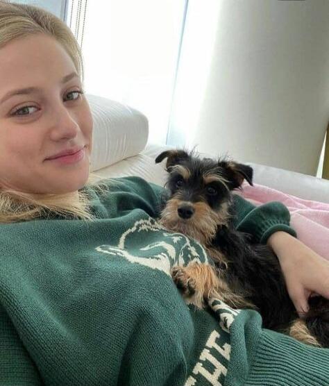 A woman relaxing on a couch with a small dog.