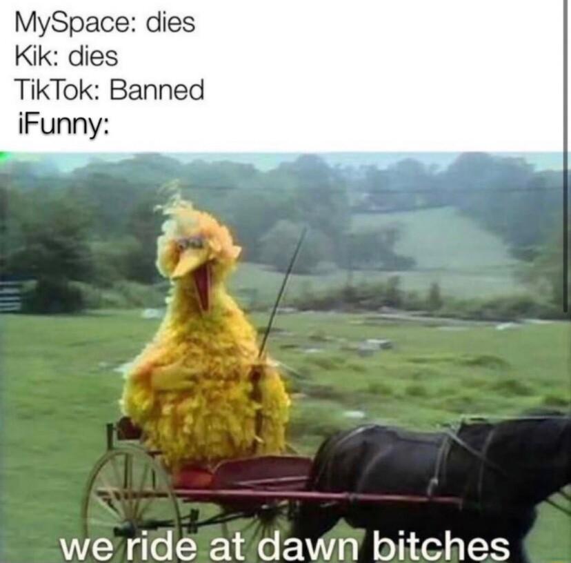 MySpace dies Kik dies TikTok Banned iFunny werid at dawn bitches