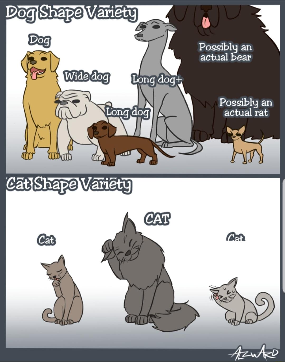 v Possibly an actual bear Possibly an actual rat