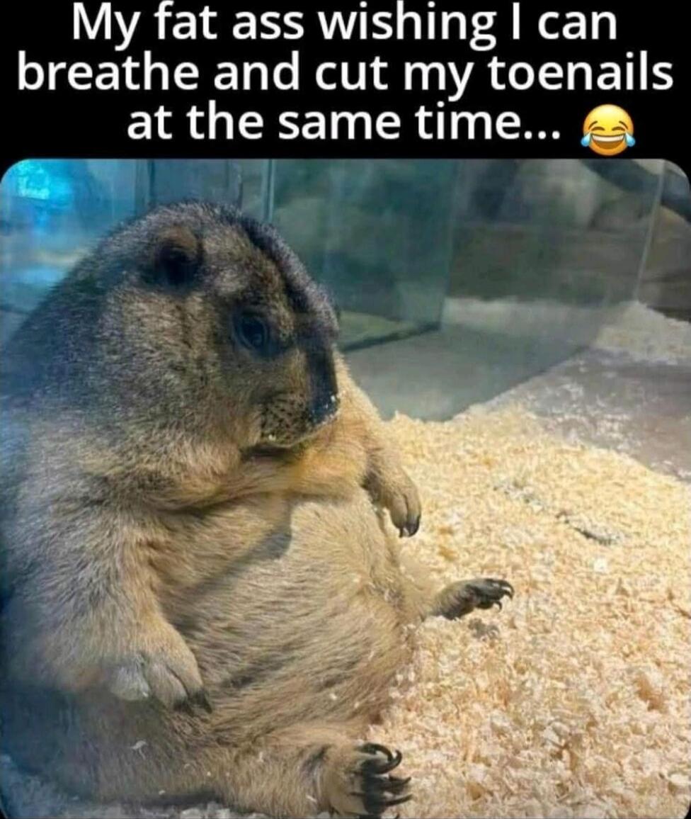 My fat ass wishing I can breathe and cut my toenails at the same time... 😂