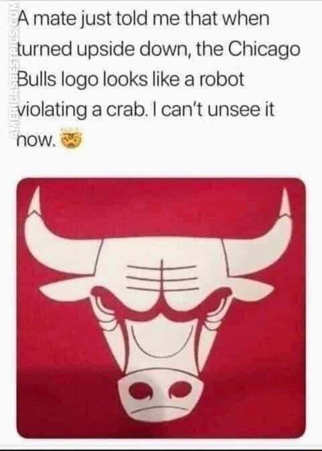 A mate just told me that when turned upside down the Chicago Bulls logo looks like a robot violating a crab cant unsee it now