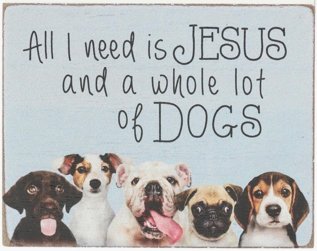 All I need is JESUS and a whole lot of DOGS