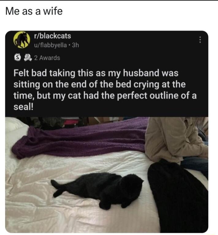 Me as a wife rblackcats 62 E I ELRETD R GIEE RN AL T EL AR sitting on the end of the bed crying at the time but my cat had the perfect outline of a seal