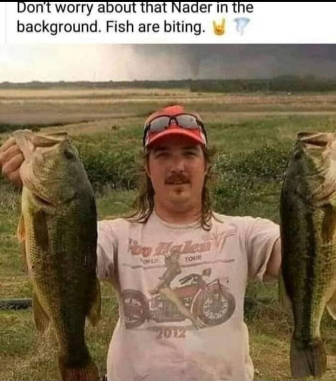 worry abou background Fish are biting