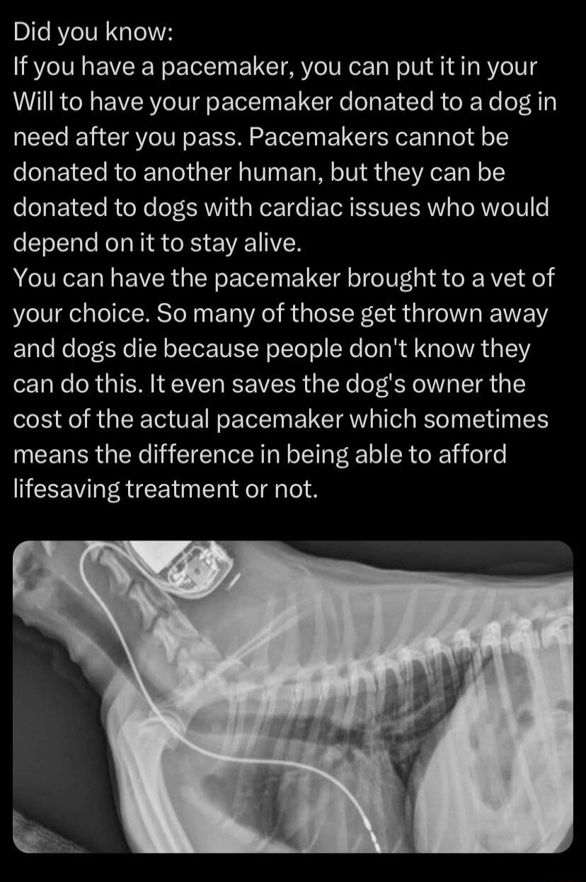 Did you know If you have a pacemaker you can put itin your Will to have your pacemaker donated to a dog in need after you pass Pacemakers cannot be donated to another human but they can be T E1To R o R oF ERWI I Wer fe TN VRN RN ToTV e depend on it to stay alive You can have the pacemaker brought to a vet of your choice So many of those get thrown away and dogs die because people dont know they ca