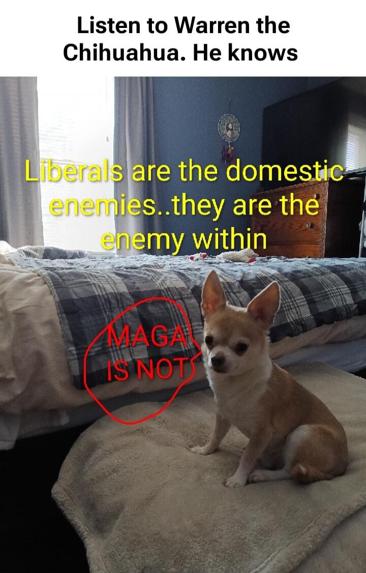 Listen to Warren the Chihuahua. He knows
Liberals are the domestic enemies..they are the enemy within
MAGA IS NOT