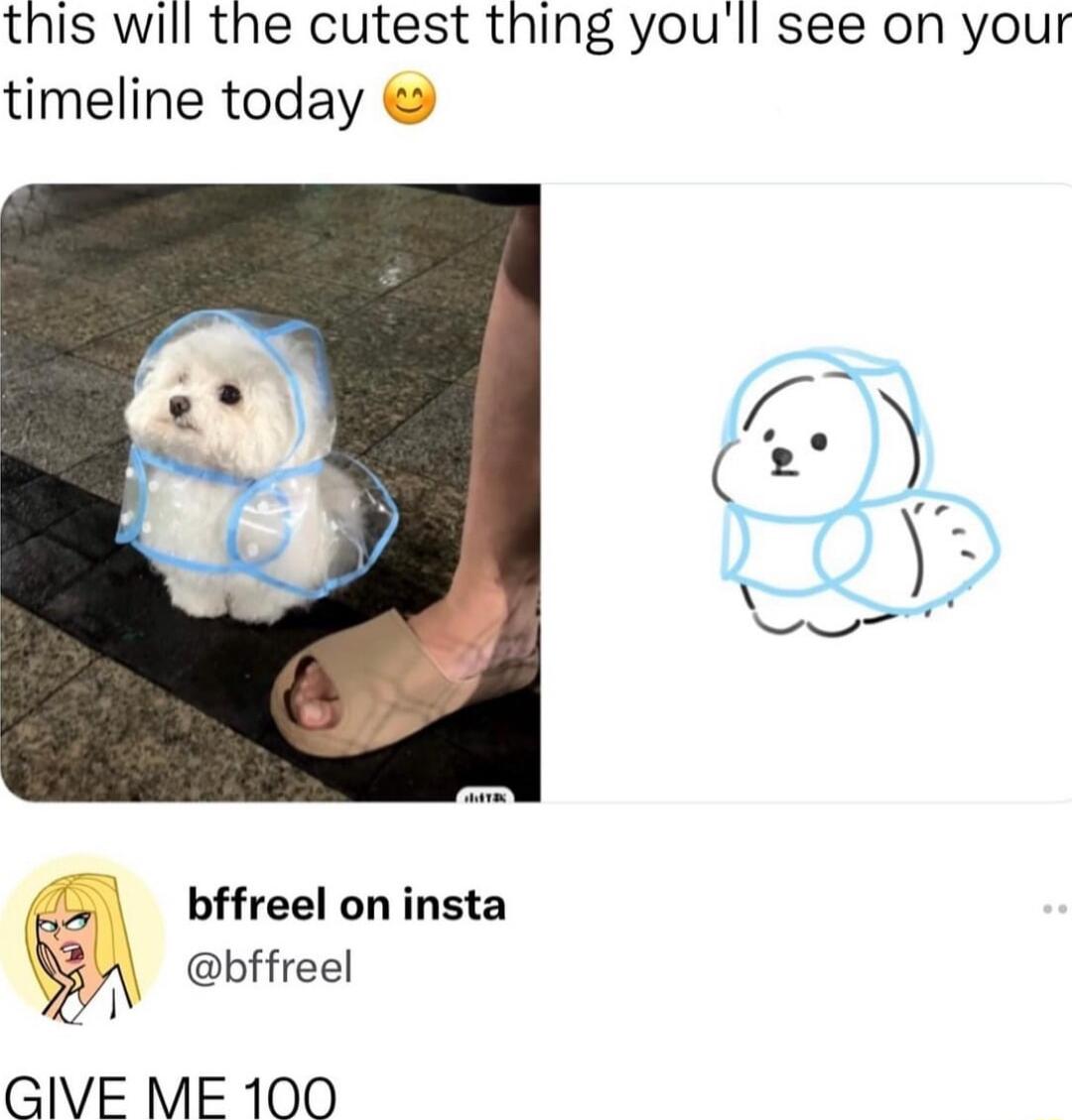 this will the cutest thing youll see on your timeline today bffreel on insta 1 bffreel GIVE ME 100