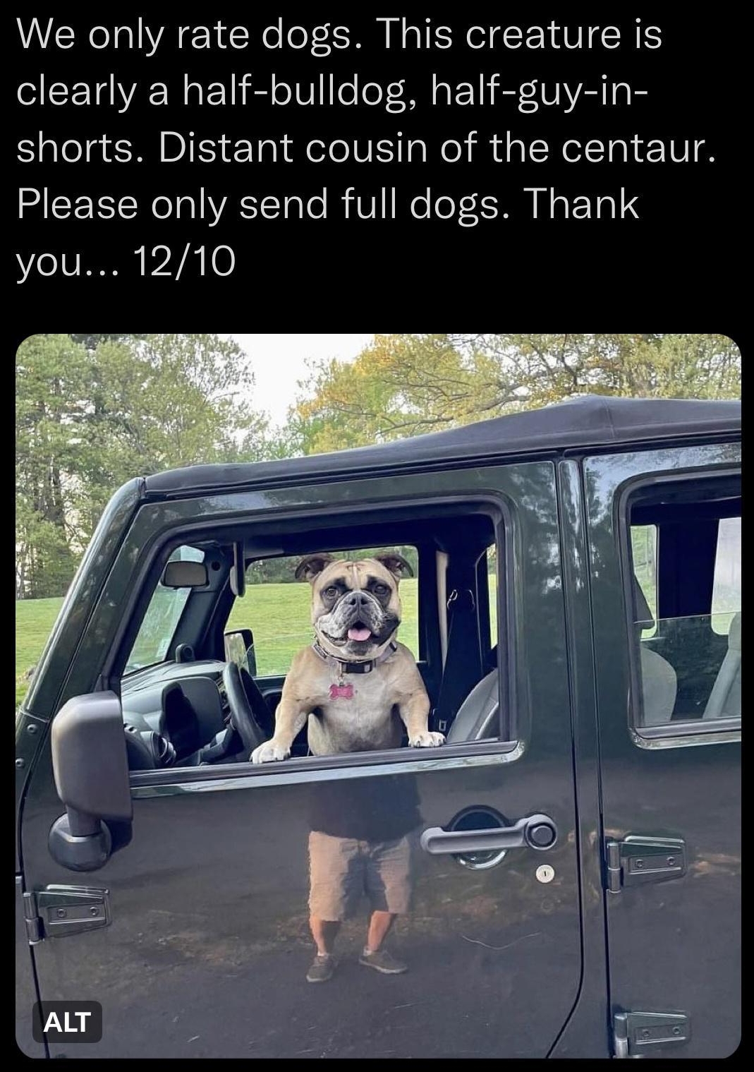 WeRateDogs CLLEREICE We only rate dogs This creature is clearly a half bulldog half guy in shorts Distant cousin of the centaur LR I RTTale R V Re o TR NI ETaIS you 1210