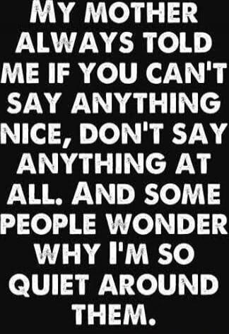 MY MOTHER ALWAYS TOLD ME IF YOU CAN'T SAY ANYTHING NICE, DON'T SAY ANYTHING AT ALL. AND SOME PEOPLE WONDER WHY I'M SO QUIET AROUND THEM.