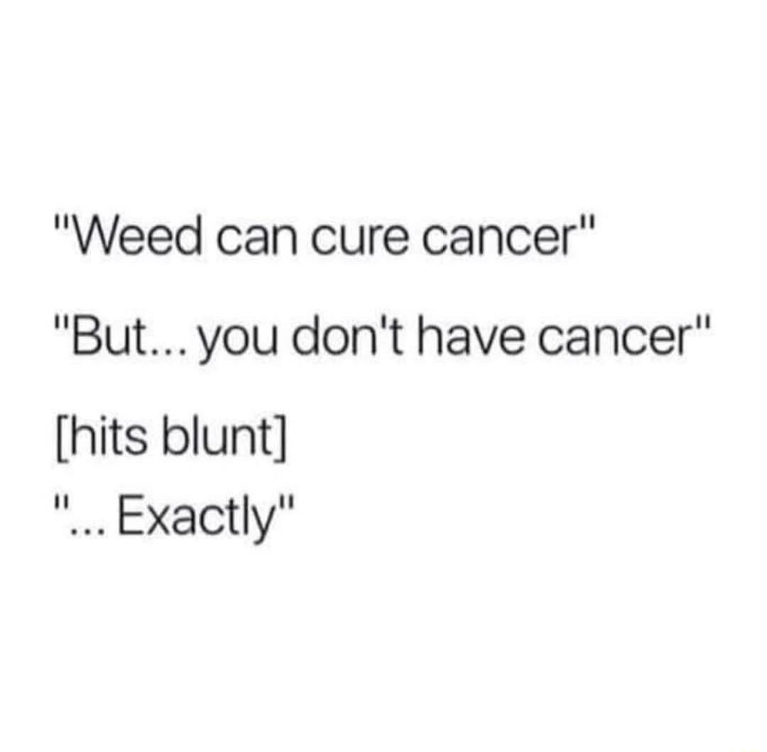 Weed can cure cancer But you dont have cancer hits blunt Exactly