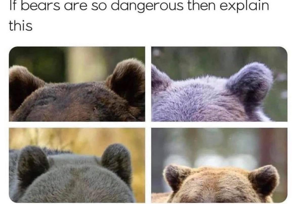 oedars dre SO dangerous then explain
