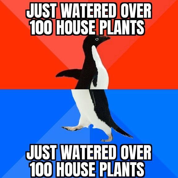 JUSTIWATEREDIOVER 100HOUSEPLANTS X JUSTIWATERED OVER 100HOUSE PLANTS