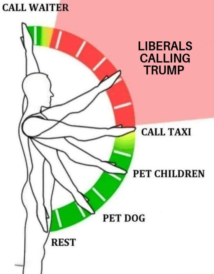 CALL WAITER LIBERALS CALLING TRUMP CALL TAXI PET CHILDREN PET DOG REST