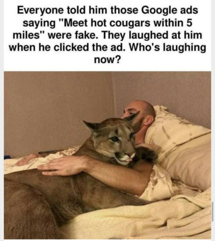 Everyone told him those Google ads saying Meet hot cougars within 5 miles were fake They laughed at him when he clicked the ad Whos laughing now