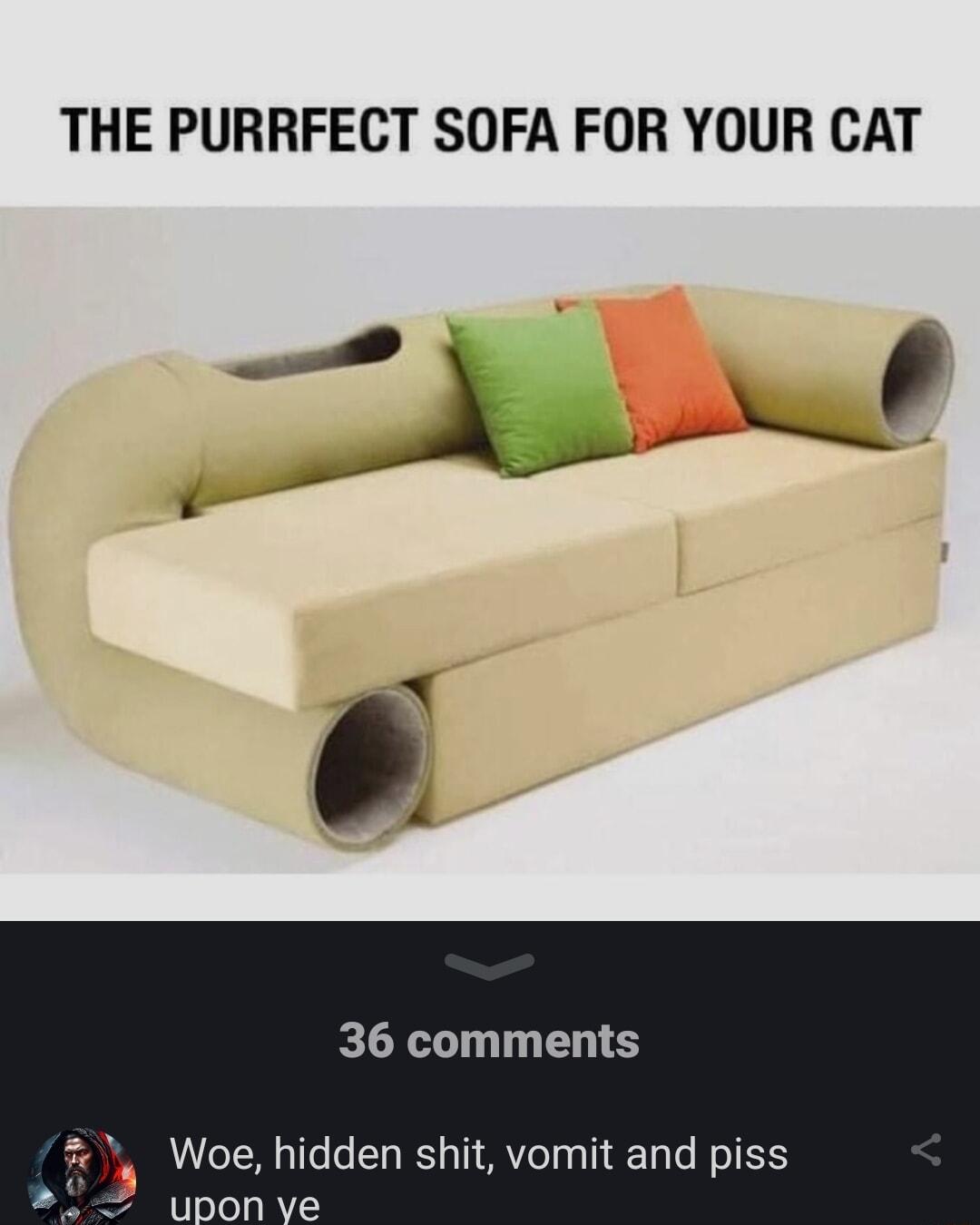THE PURRFECT SOFA FOR YOUR CAT 36 comments Woe hidden shit vomit and piss