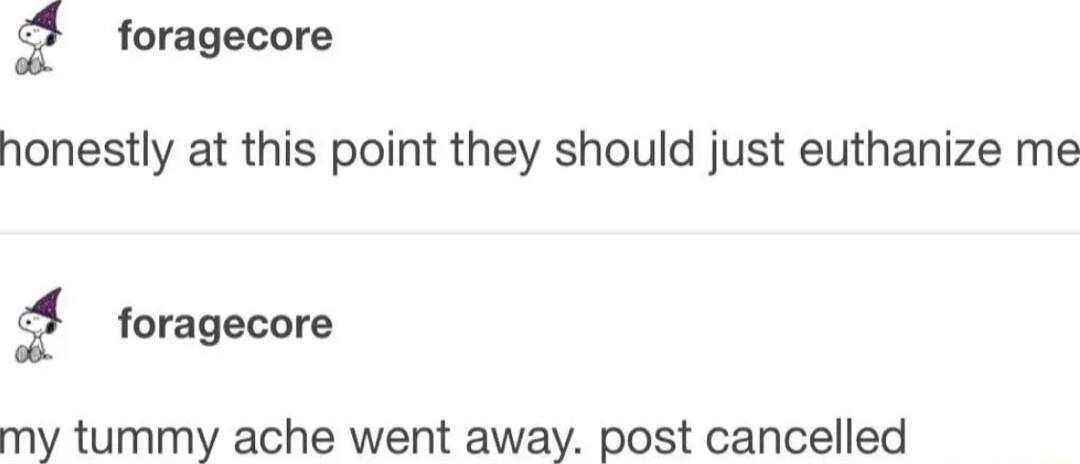 foragecore honestly at this point they should just euthanize me g foragecore my tummy ache went away post cancelled