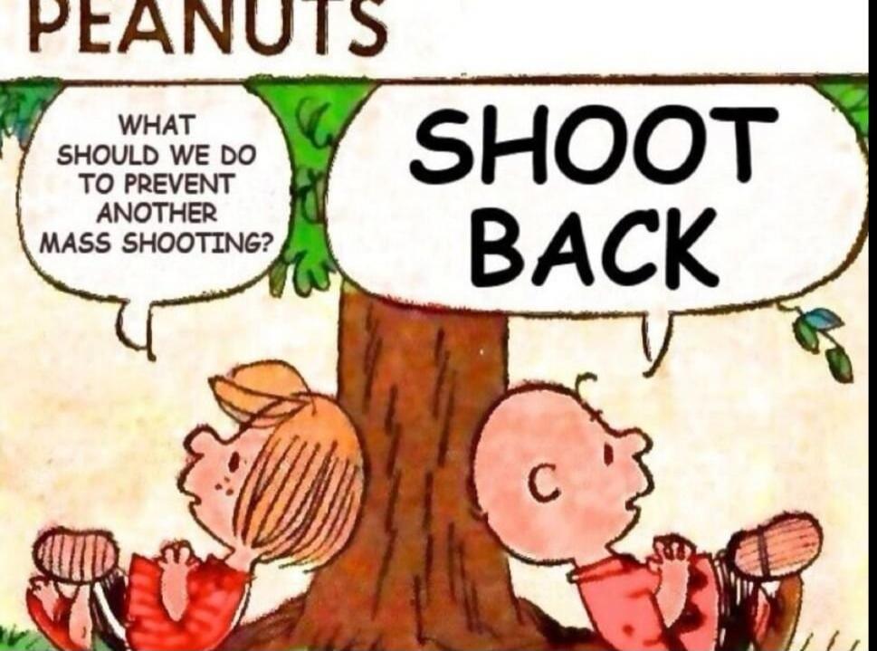 WHAT SHOULD WE DO TO PREVENT ANOTHER MASS SHOOTING? SHOOT BACK